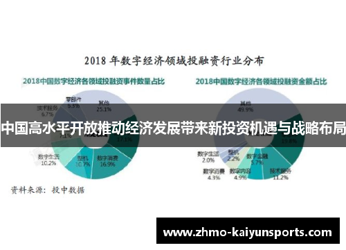 中国高水平开放推动经济发展带来新投资机遇与战略布局