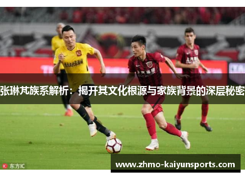 张琳芃族系解析：揭开其文化根源与家族背景的深层秘密