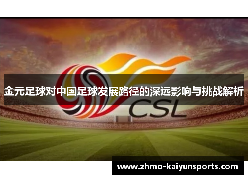 金元足球对中国足球发展路径的深远影响与挑战解析