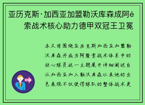 亚历克斯·加西亚加盟勒沃库森成阿隆索战术核心助力德甲双冠王卫冕 亚历克斯·加西亚加盟勒沃库森成阿隆索战术核心助力德甲双冠王卫冕